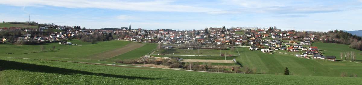 Ansicht Wegscheid von Süden, Bebauungsitutation