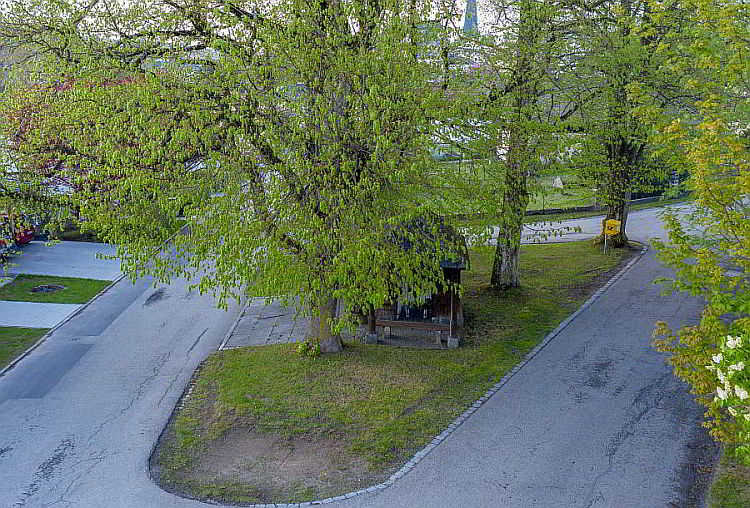 linden_190430_02_750_80-01