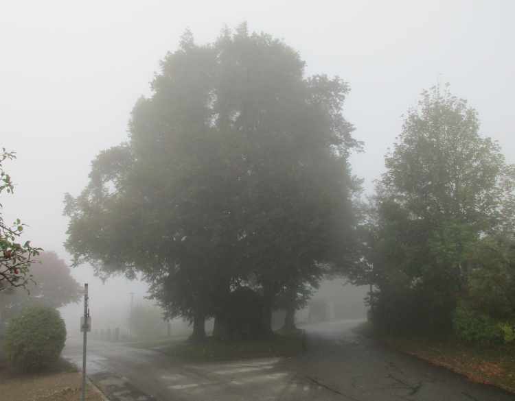 herbst_180923_img_2480_750