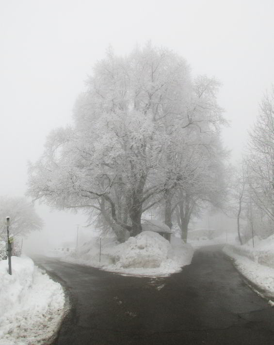 In Wegscheid gibt es immer wieder sehr schneereiche Winter, wie hier im Februar 2019