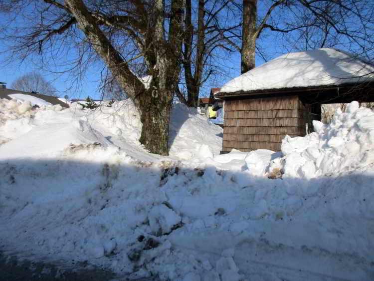 Die aufgetürmten Schneemassen, die Linden und Kapelle begraben, brauchen lange, bis sie abgetaut sind. Das Streusalz ist Gift für die Linden, das Eis für die Kohlbauerkapelle