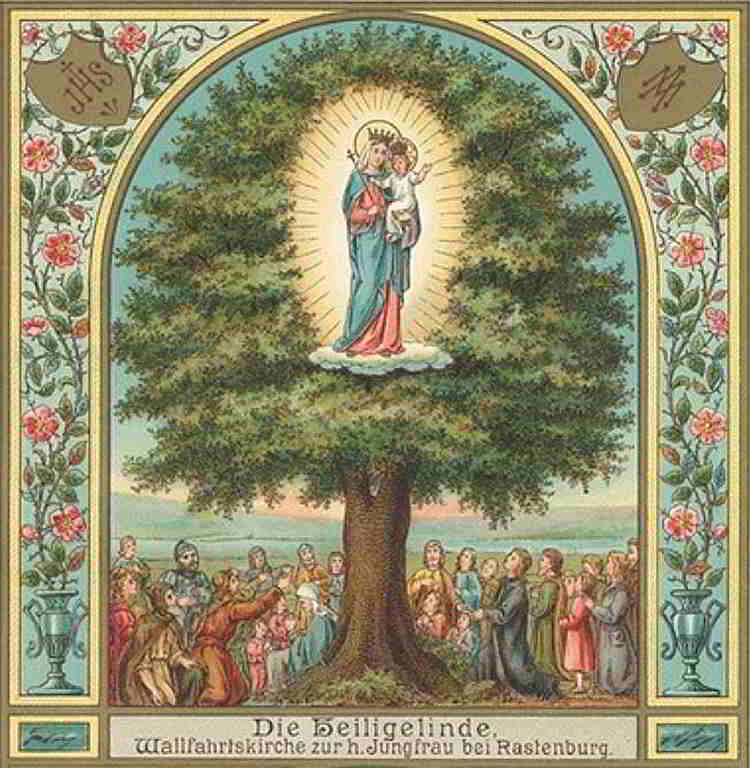 Die heilige Marienlinde - Chromlithographie, um 1900 heiligelinde_chromlitho