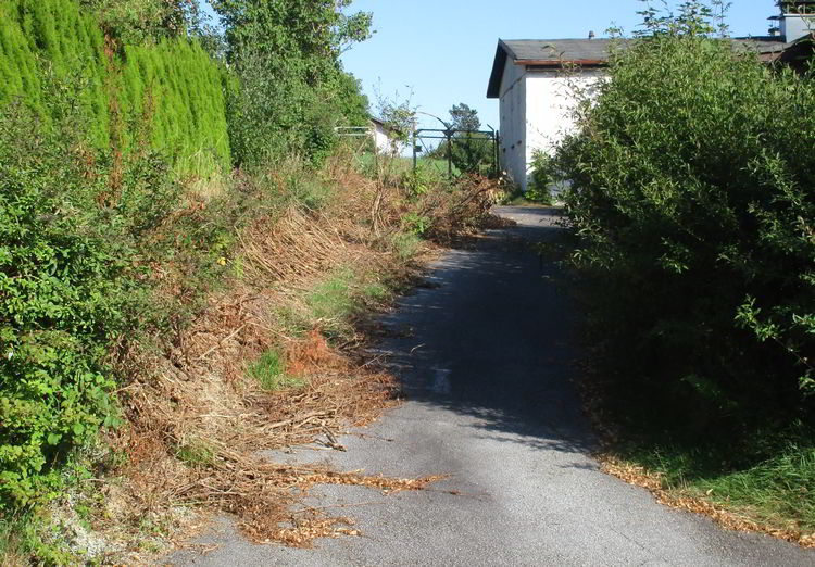 Evangelischer Kirche in Wegscheid, Verwilderung nach Verkauf
